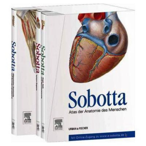 Imagen de SOBOTTA ATLAS DE ANATOMIA HUMANA, 3 VOLS. / MEGA PROMO