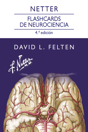 Imagen de Netter Flashcards de neurociencia