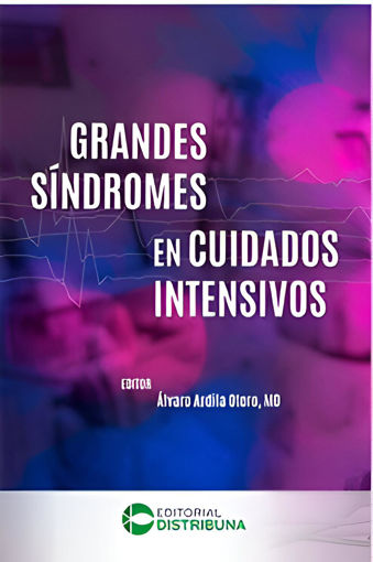 Imagen de Grandes Sindromes en Cuidados Intensivos