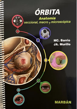 Imagen de Órbita. Anatomía seccional macro y microscópica