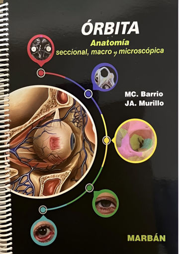 Imagen de Órbita. Anatomía seccional macro y microscópica