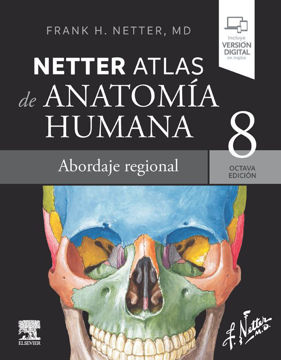 Imagen de Netter.Atlas de anatomía humana Abordaje regional 8ed