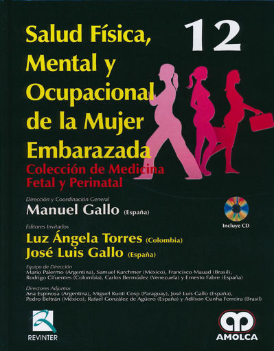 Imagen de Salud física, mental y  ocupacional de la mujer embarazada