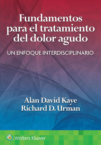 Imagen de Fundamentos para el tratamiento del dolor agudo