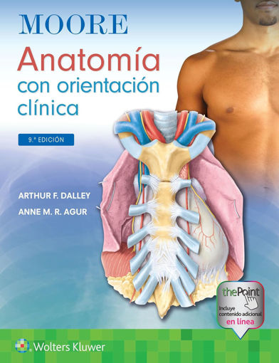 Imagen de Moore.Anatomía con orientación clínica 9ed