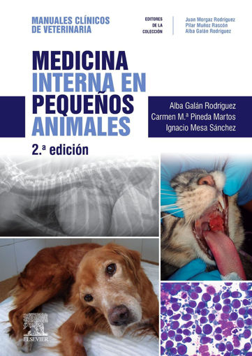 Imagen de Medicina interna en pequeños animales