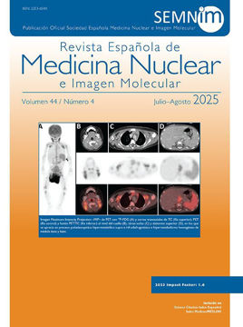 Imagen de Revista Española de Medicina Nuclear e Imagen Molecular 2025 ON LINE (6 fascículos anuales)