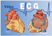 Imagen de Velez ECG Handbook 4ª Ed.