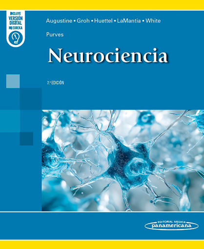 Imagen de PURVES Neurociencia 7ed